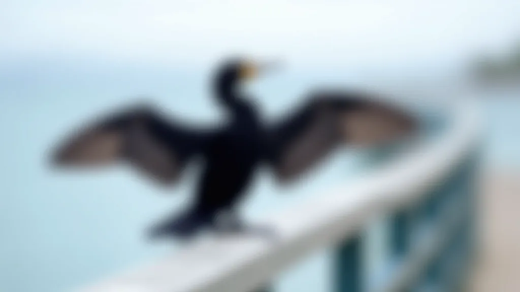 Cormorant bird standing on pier railing, wings spread partially, dark plumage, sea backdrop, detailed bird photography